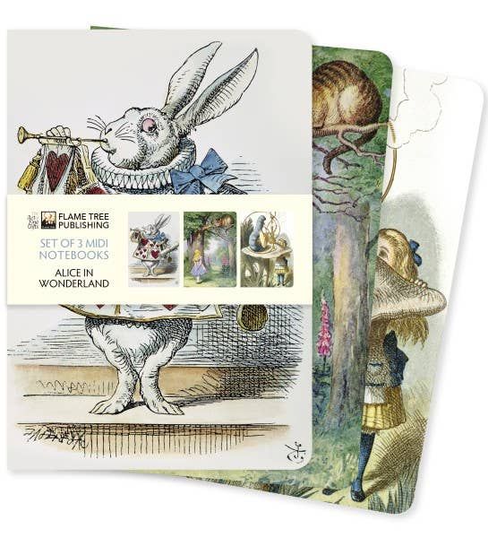 Alice In Wonderland Set of 3 Midi Notebooks