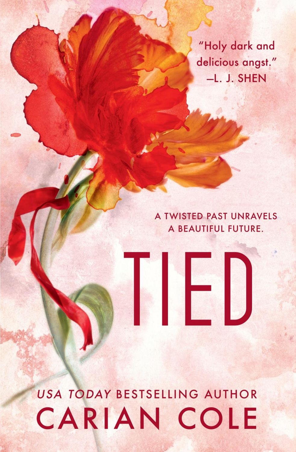 Tied - (All Torn Up) by Carian Cole (Paperback)