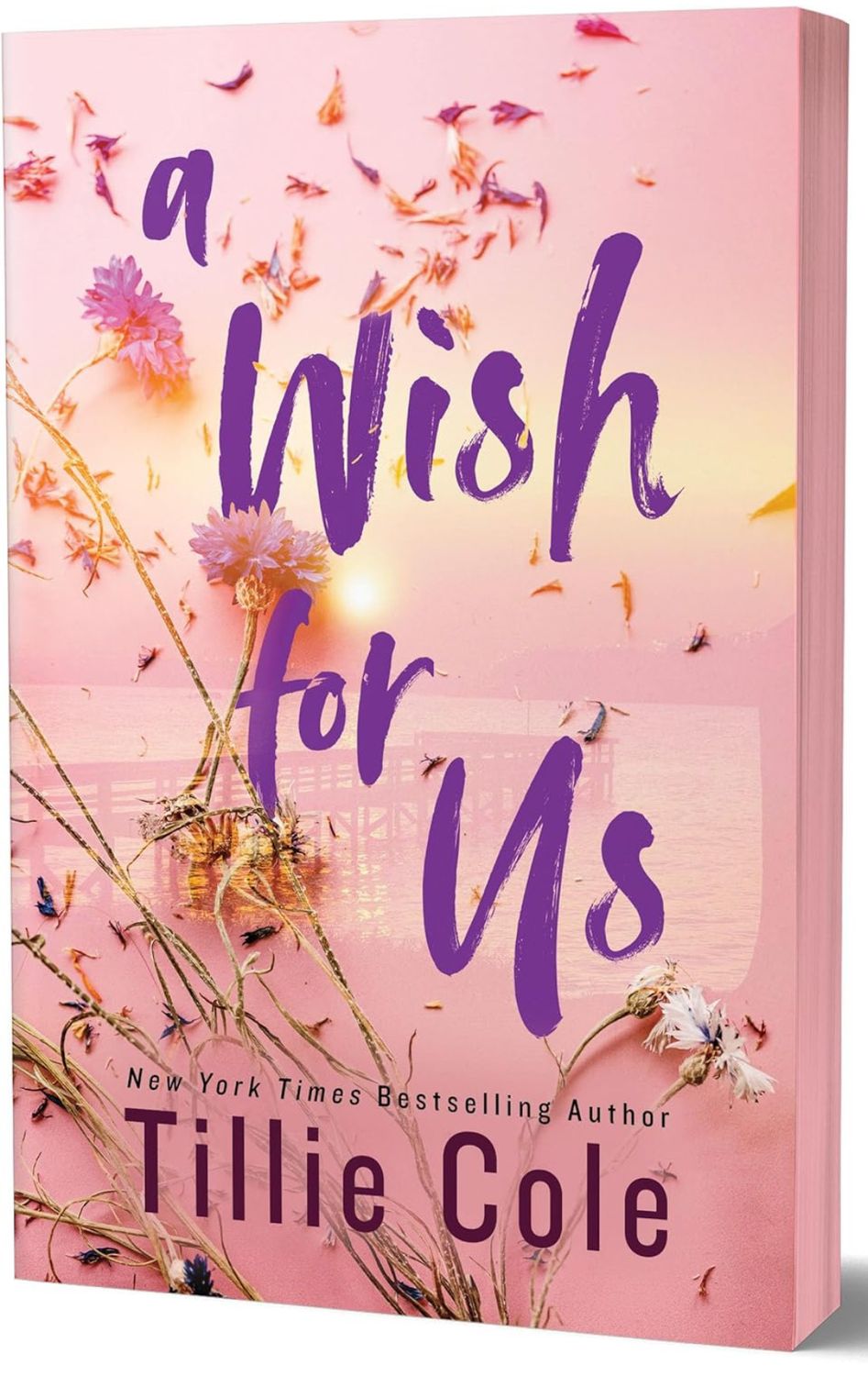 A Wish for Us (Deluxe Edition) - by Tillie Cole (Paperback)