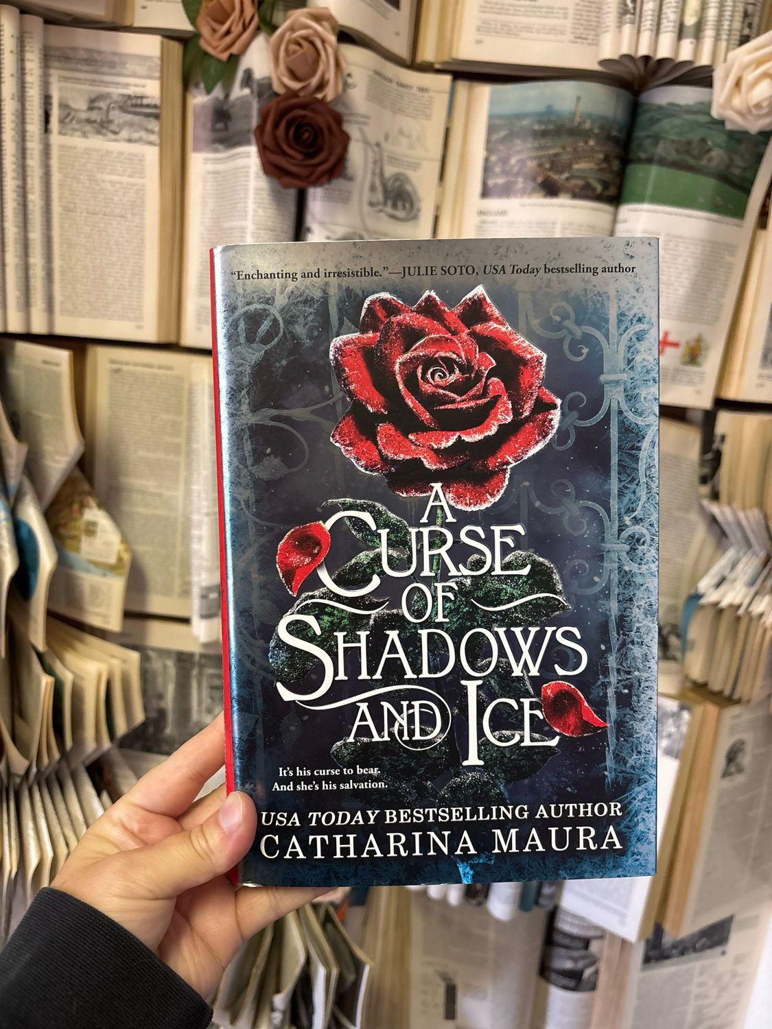 A Curse of Shadows and Ice (Deluxe Limited Edition) - by Catharina Maura (Hardcover)
