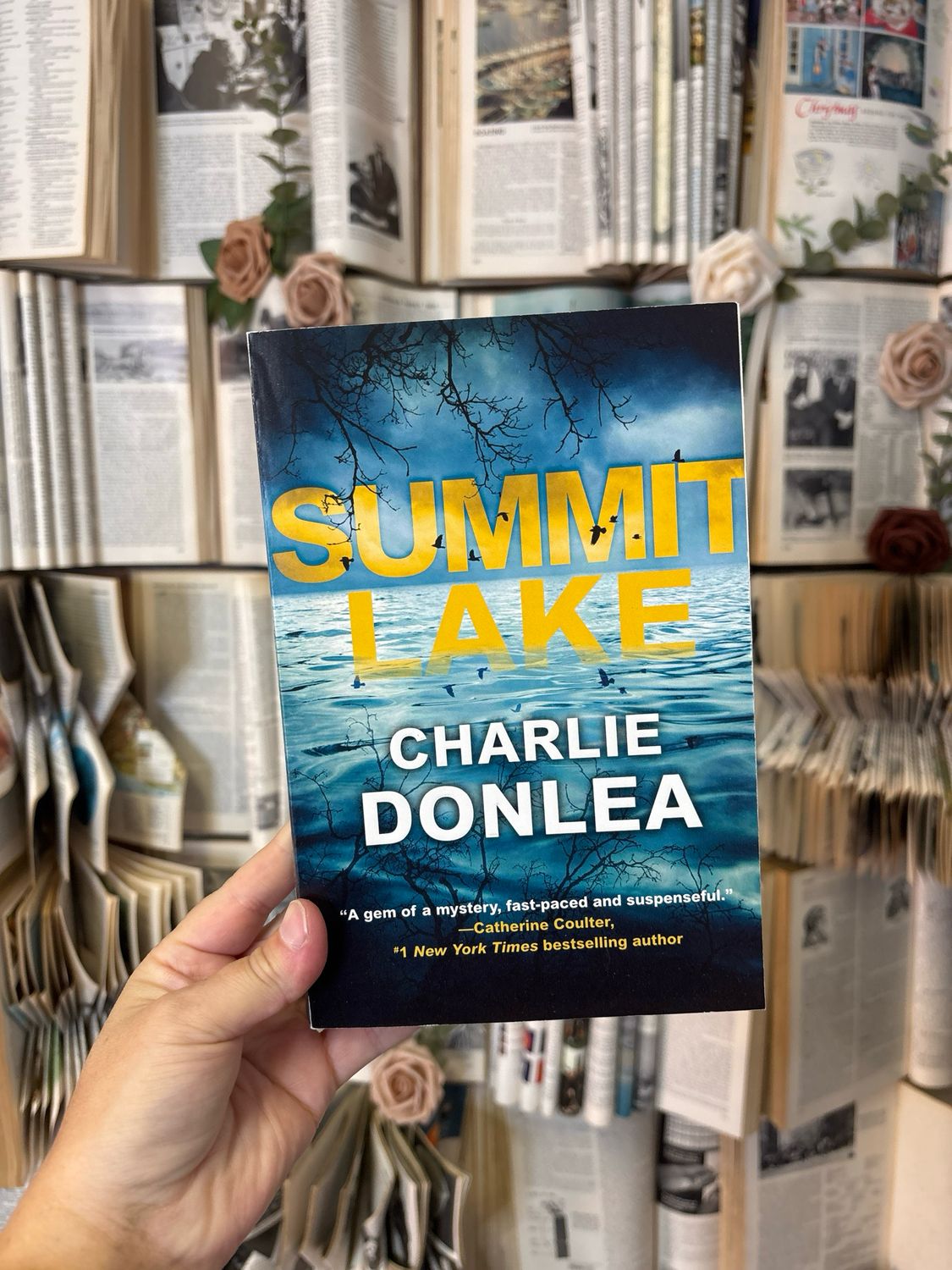 Summit Lake - by Charlie Donlea (Paperback)