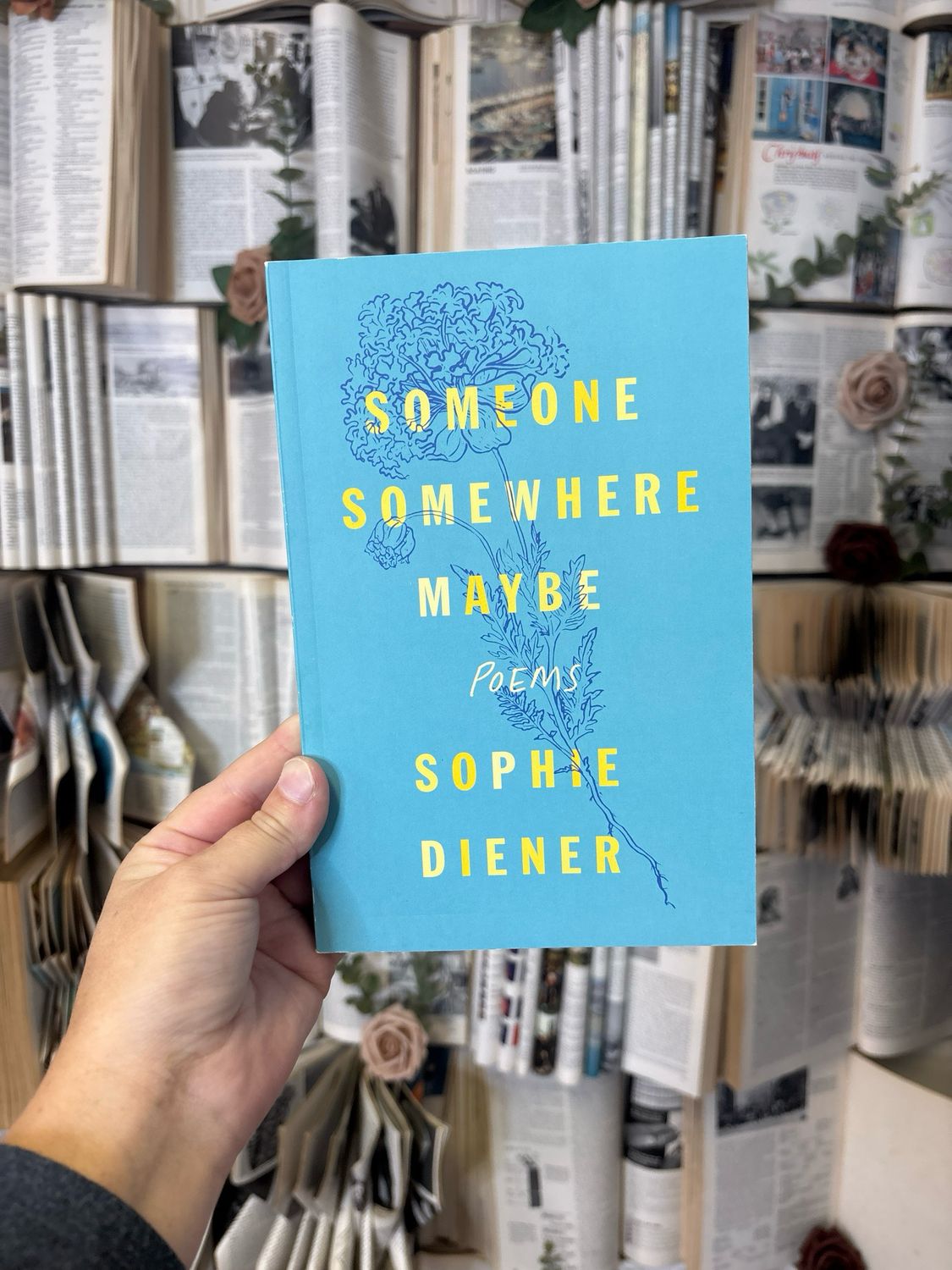 Someone Somewhere Maybe