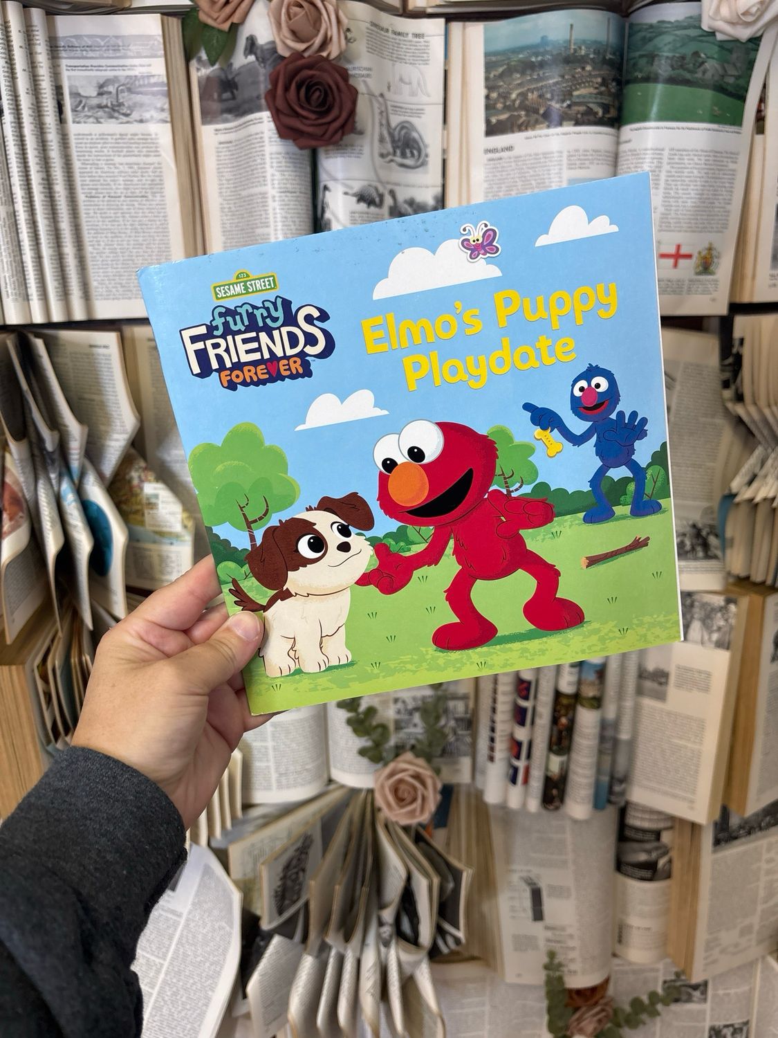 Elmo’s Puppy Playdate