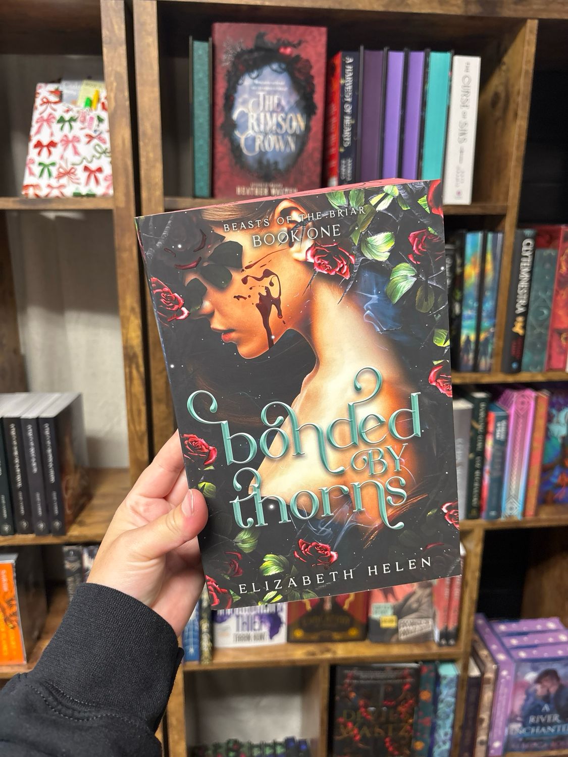 Bonded by Thorns (Deluxe Edition) - (Beasts of the Briar) by Elizabeth Helen (Paperback)