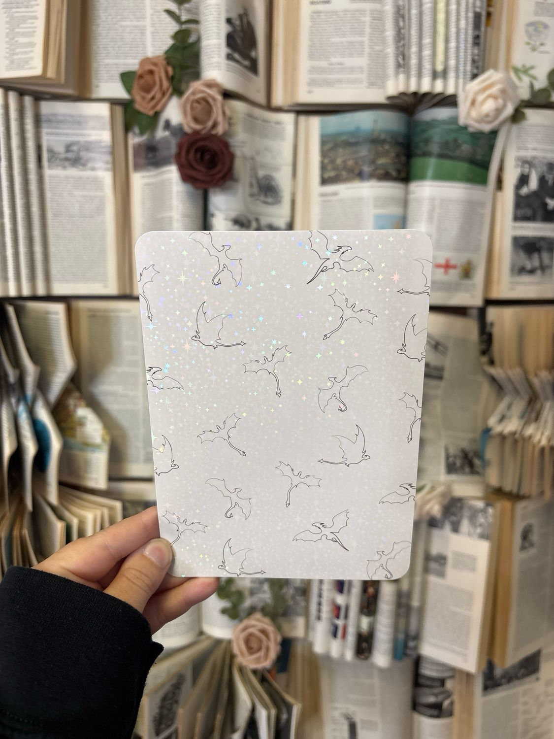 Dragons Kindle Insert