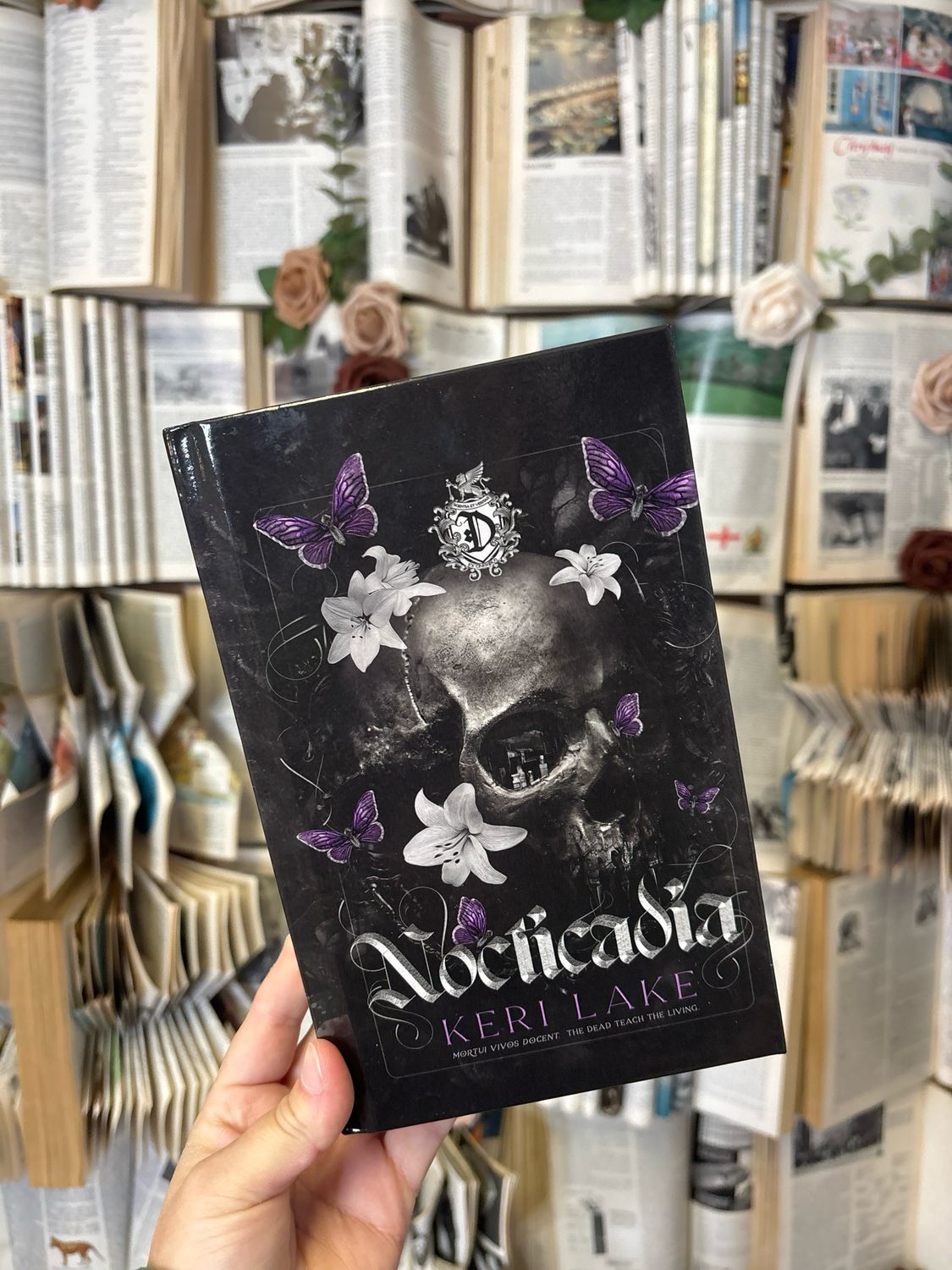 Nocticadia Hardcover OOP