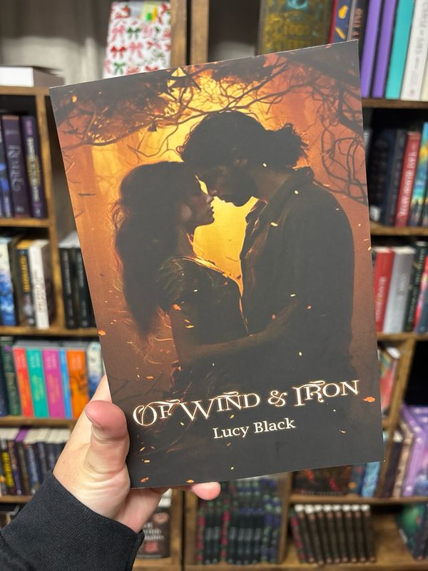 of wind and iron - lucy black