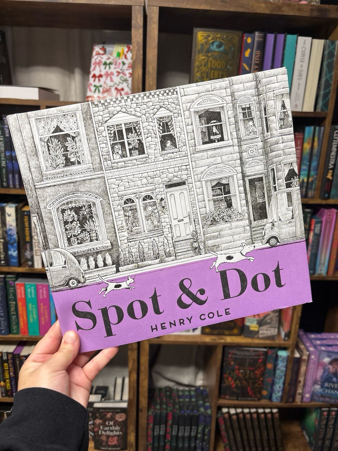 Spot &amp; Dot