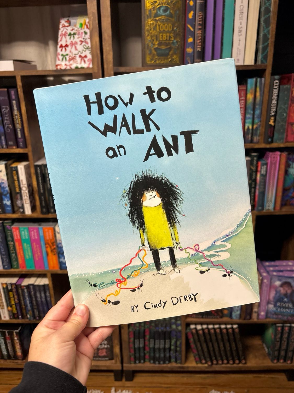 How To Walk An Ant