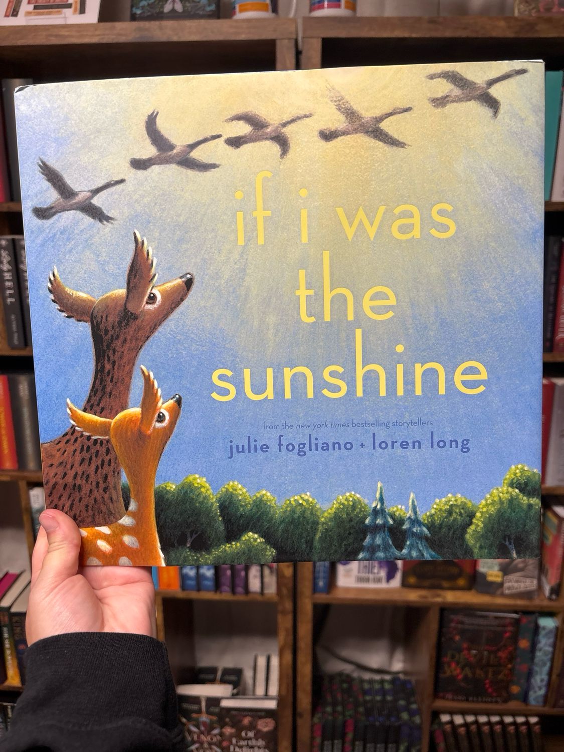 If I Was The Sunshine