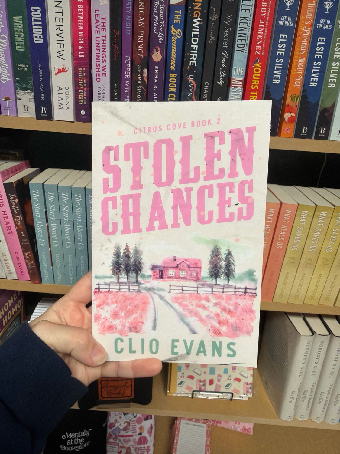 Stolen Chances- signed- by Clio Evans