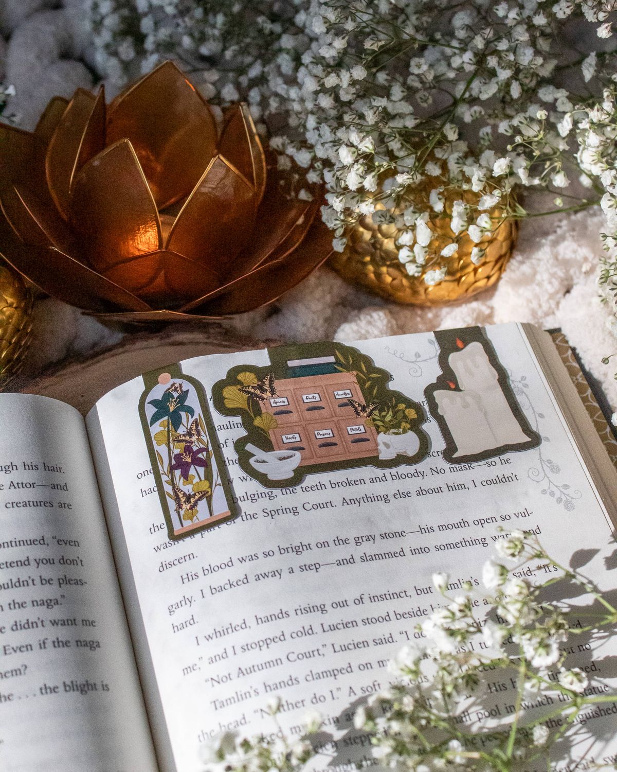 Apothecary Magnetic Bookmarks | Set of 3