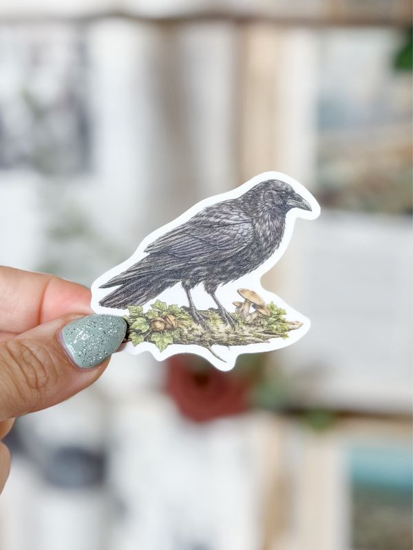 Bayside Books Raven Sticker