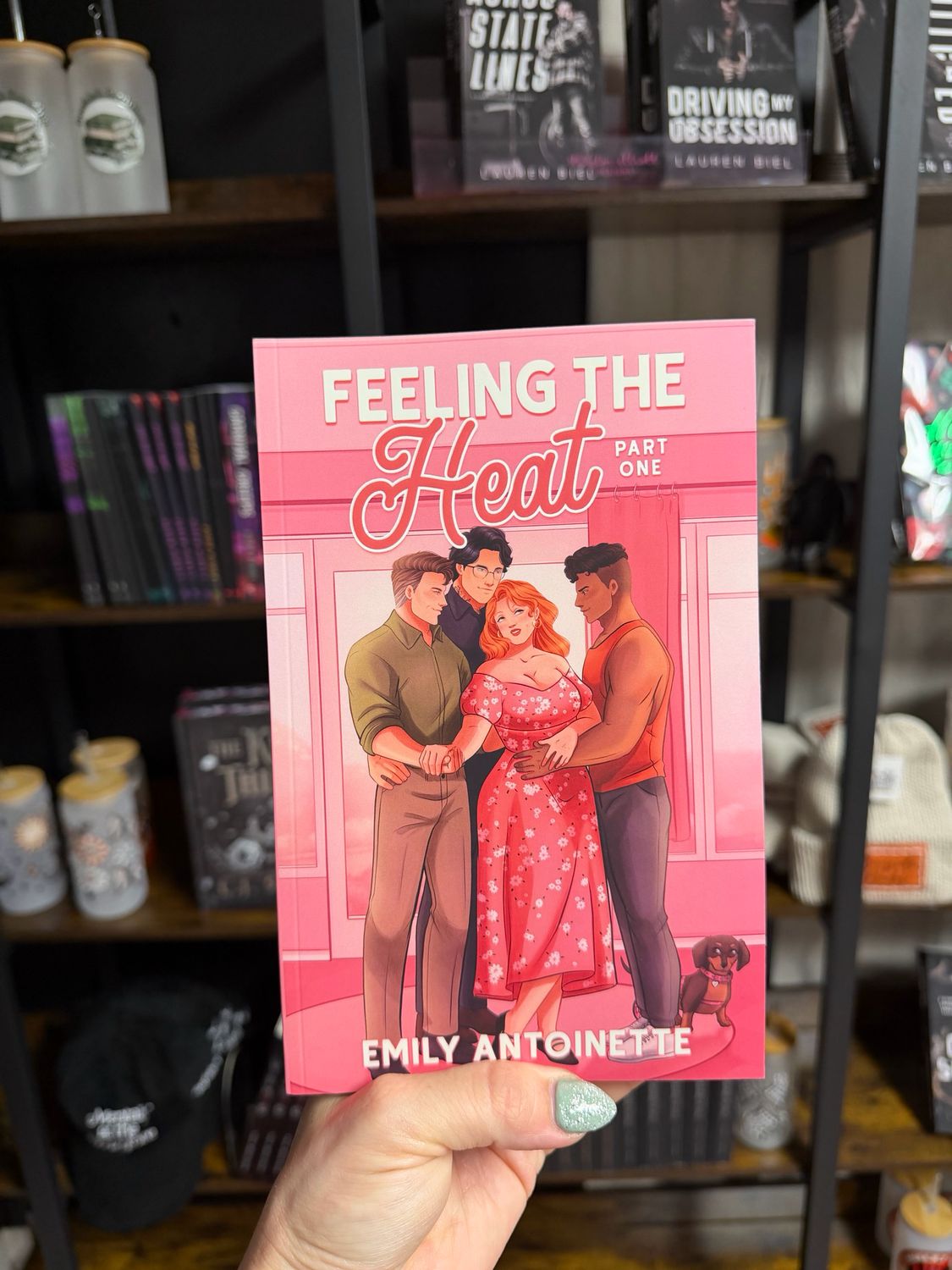 Feeling The Heat pt 1 &amp; 2 (deluxe Illustrated PB) -Emily Antoinette