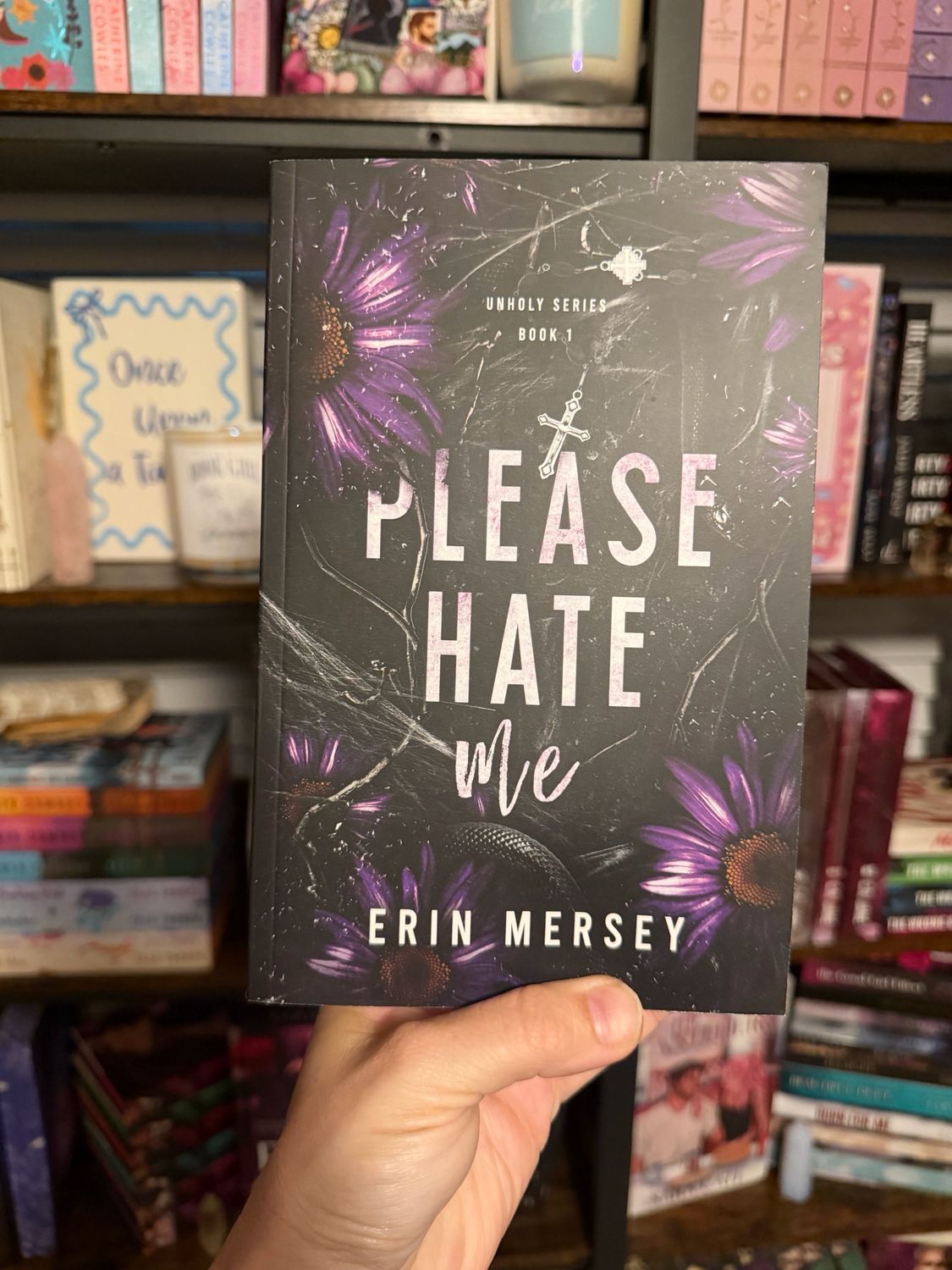 The Unholy Series- Erin Mersey