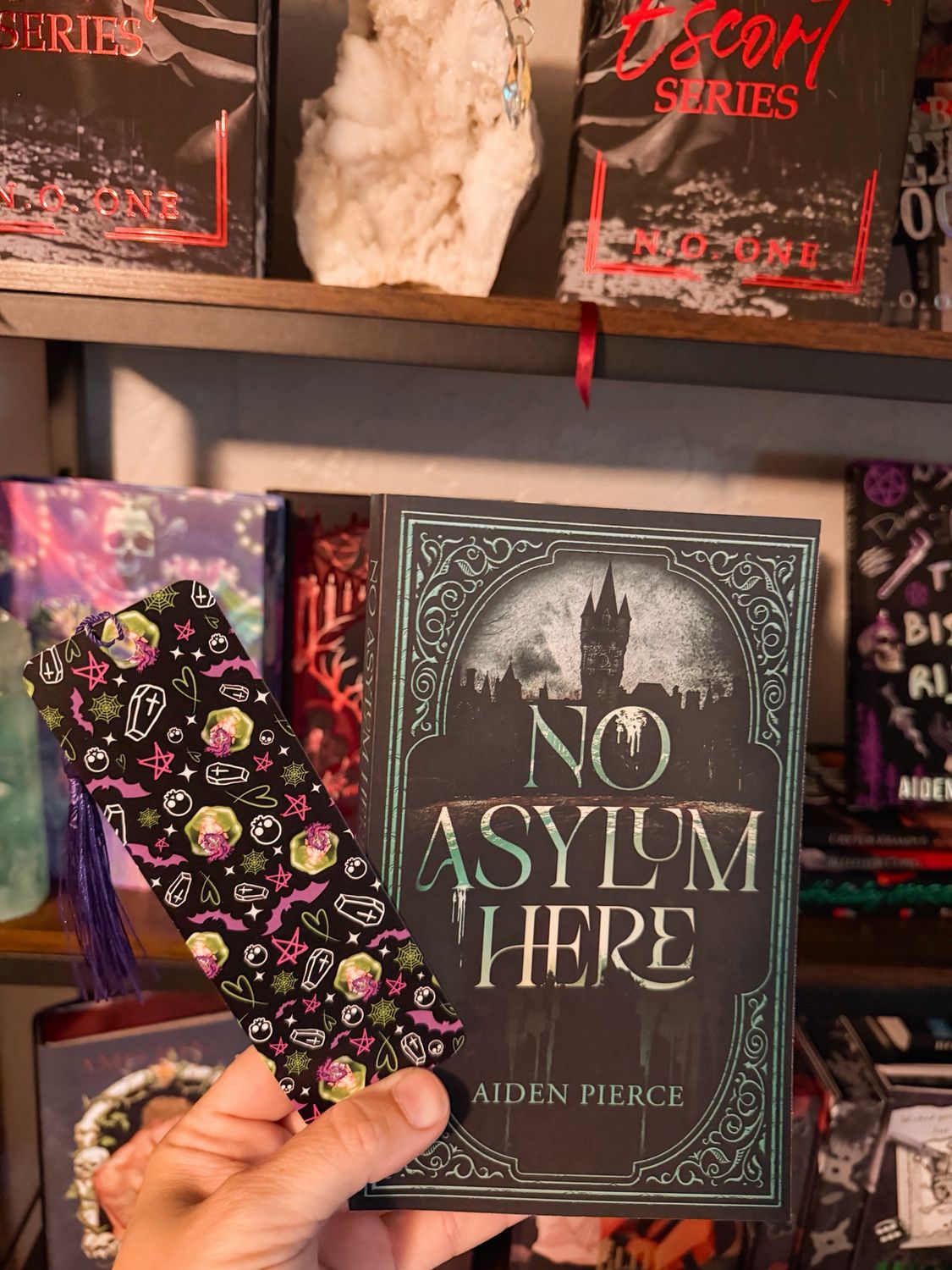 No Asylum Here- Aiden Pierce (with Tasseled Bookmark)