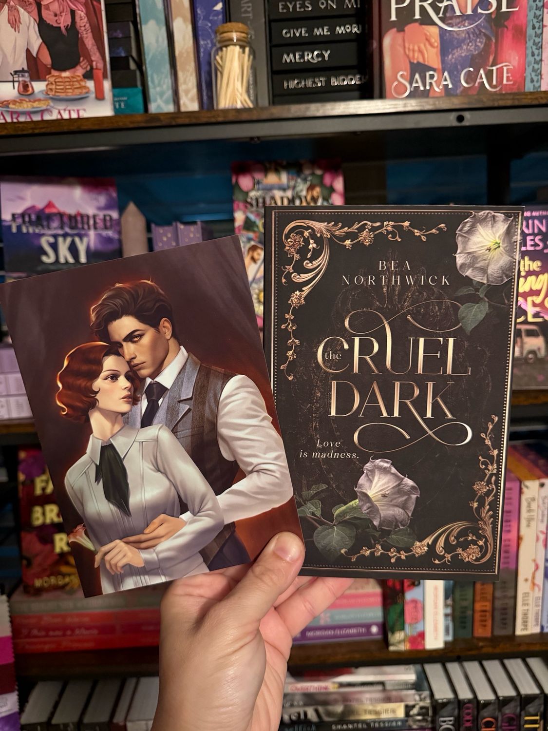 The Cruel Dark- Bea Northwick