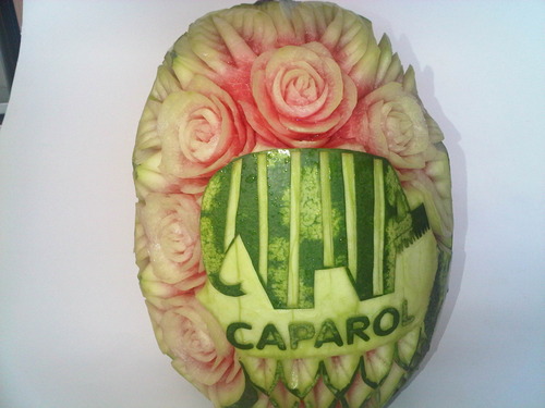 Slon Caparol