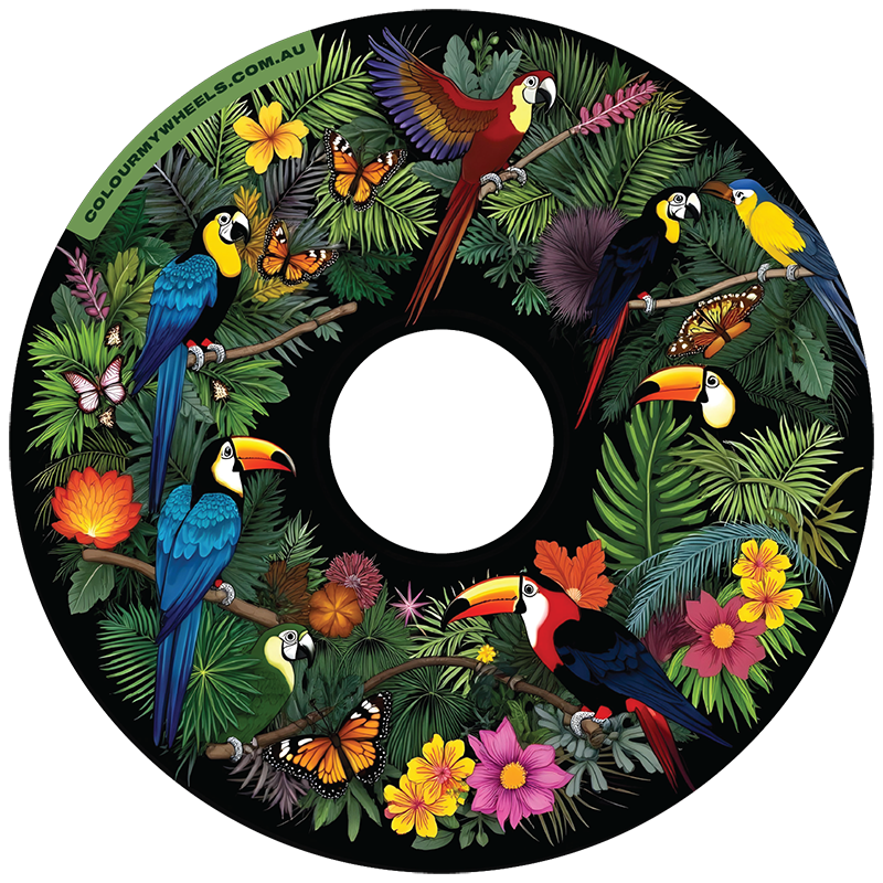 RAINFOREST - BIRDLIFE