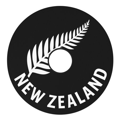 Wheelchair Spoke Guards – Fern Unique NZ Designs | Customise Your Ride with Pride! 🎨🧑‍🦽