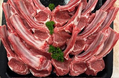 Lamb