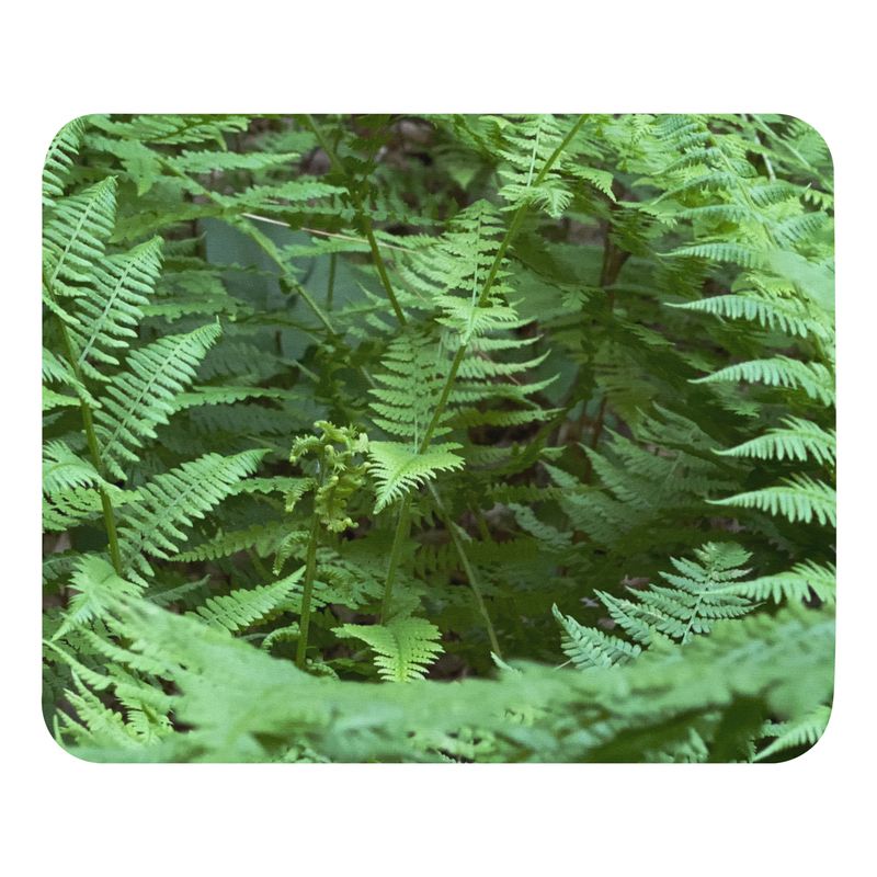 Mouse pad