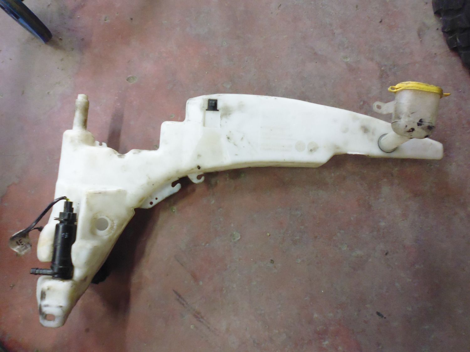 Vaschetta serbatoio acqua tergicristallo con pompe Ford Focus dal 1998 al 2004.