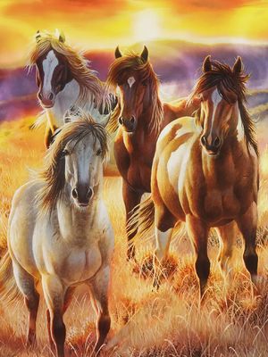 &quot;Sunrise Beauties&quot; Heavy Fleece Blanket – Queen Size