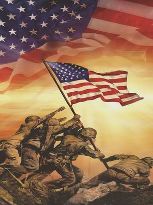 Plush Military Queen-Size Blanket - Thank You
