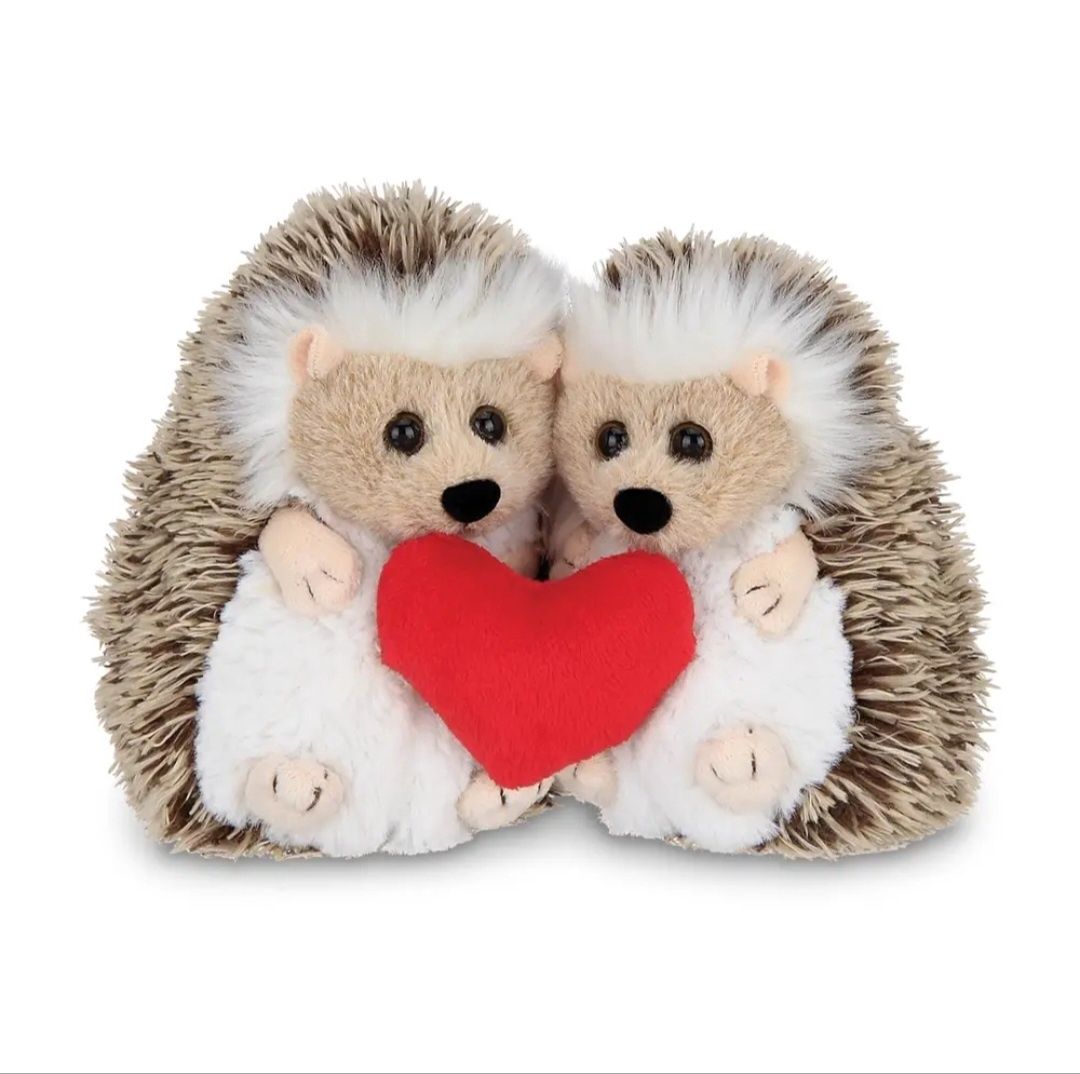 Lovie &amp; Dovey the Hedgehogs