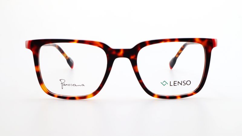 LENTES DE ARMAZON LENSO