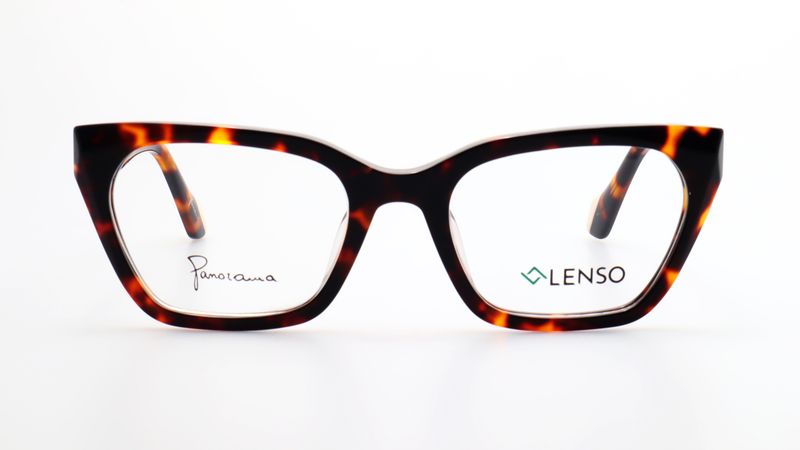 LENTES DE ARMAZON LENSO
