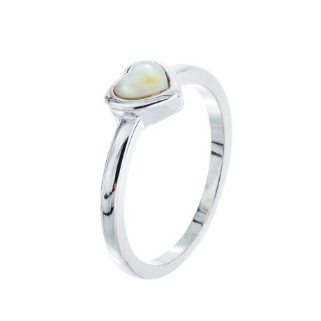 Anillos