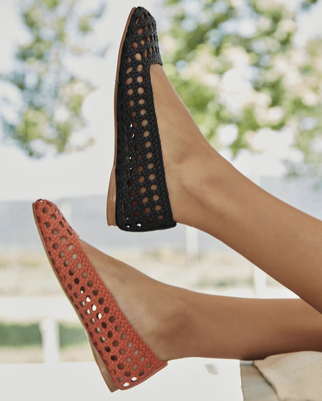 Palomo Barcelo SHELL24-2911