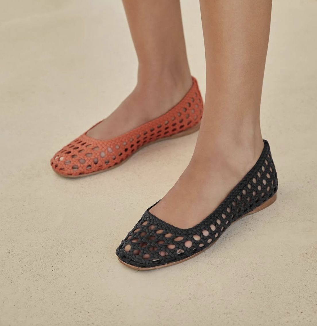 Palomo Barcelo SHELL24-2911