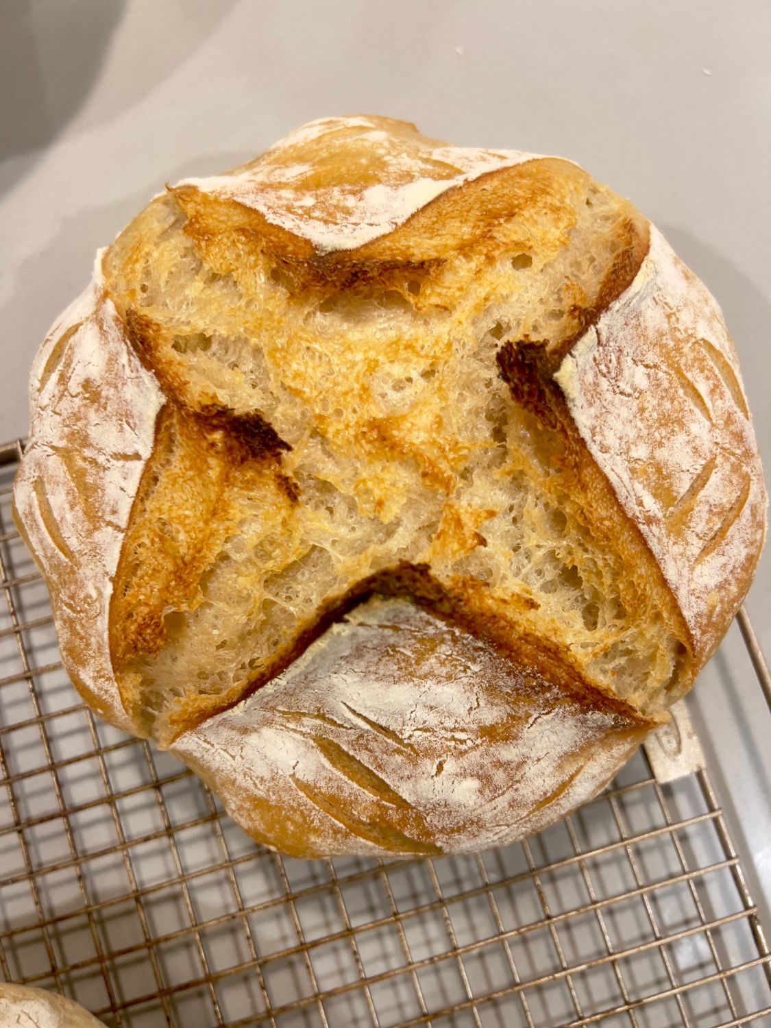 Full MadDough (Round)