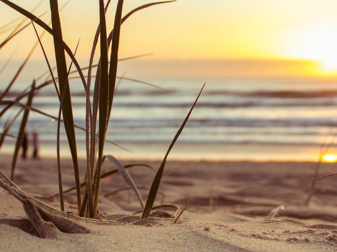 Nettoyage et harmonisation d'un lieu