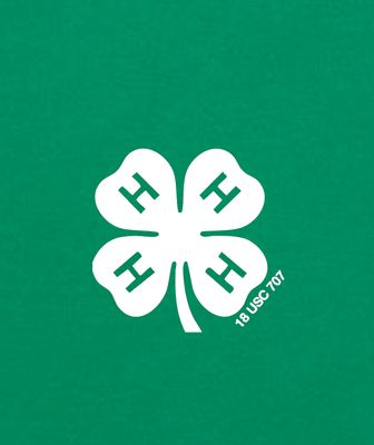 4H