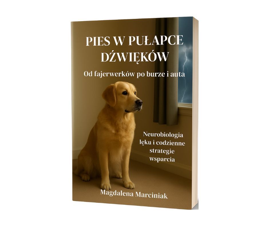 Pies w pułapce dźwięków. Od fajerwerków po burze i auta. E-book.