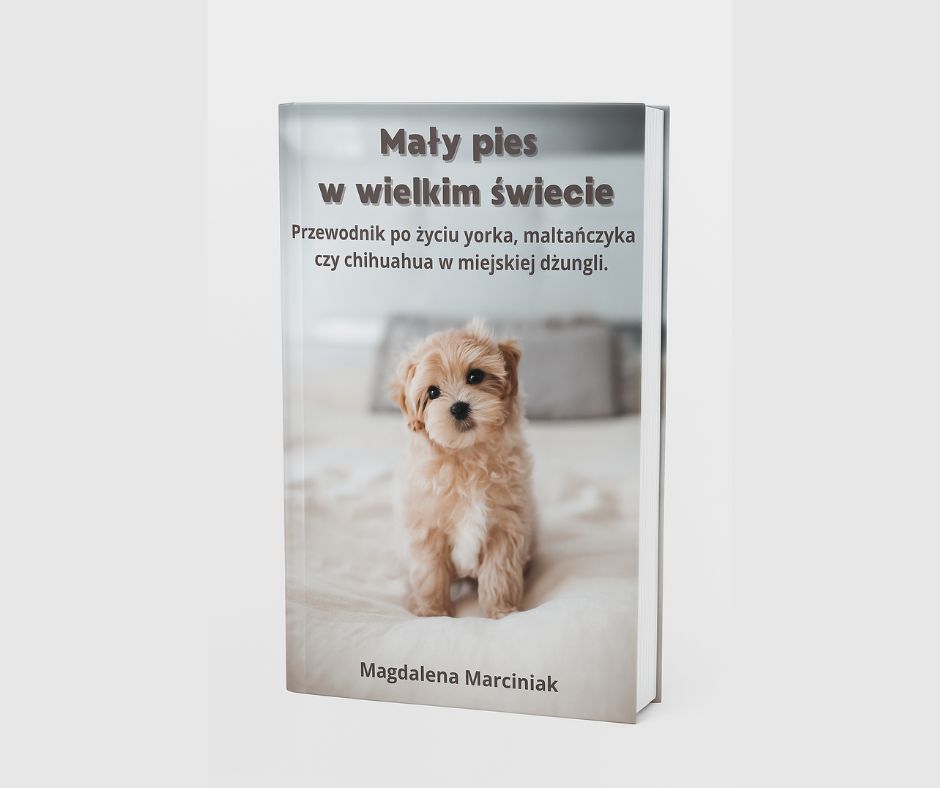 Mały pies w wielkim świecie. Przewodnik po życiu yorka, maltańczyka czy chihuahua w miejskiej dżungli. E-book.
