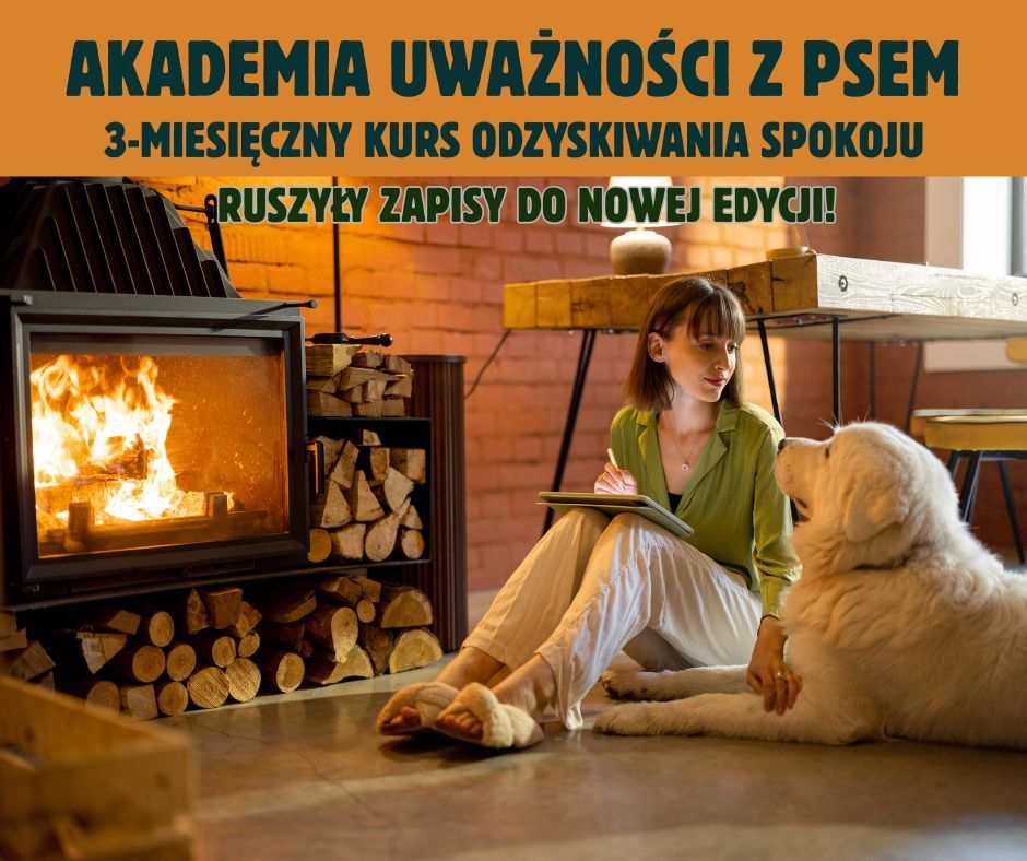 Akademia uważności z psem - nowa edycja