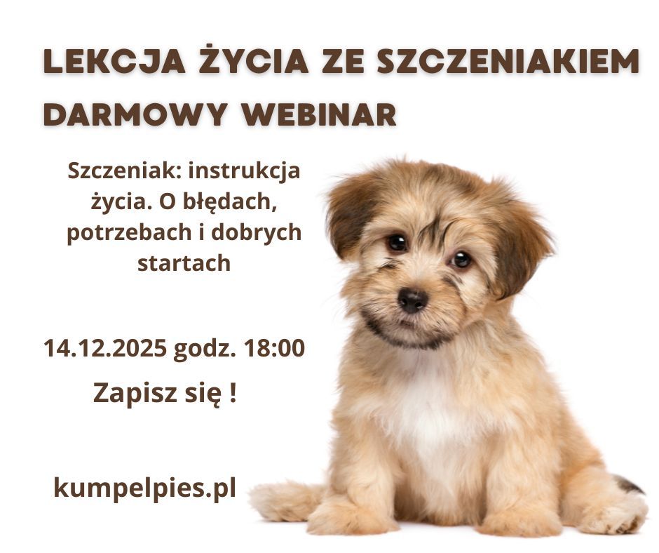 Lekcja życia ze szczeniakiem. Darmowy webinar.