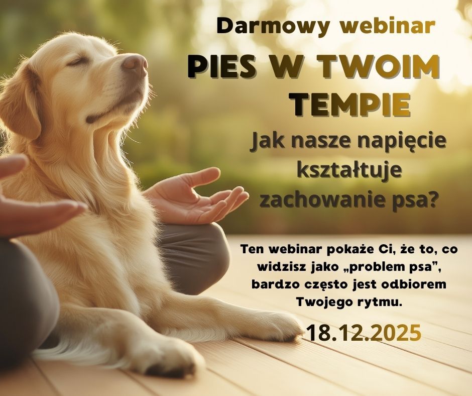 Pies w Twoim tempie. Darmowy webinar.