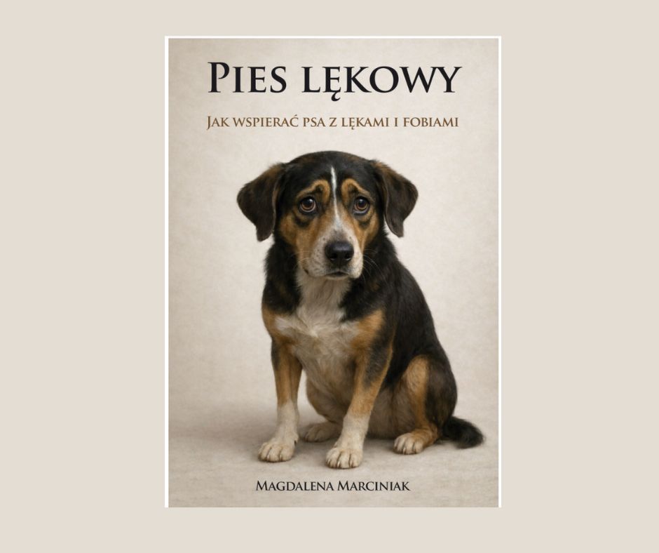 Pies Lękowy. Jak wspierać psa z lękami i fobiami. E-book.