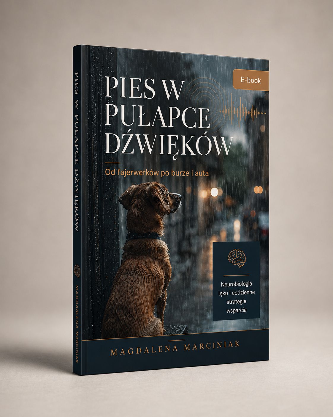 Pies w pułapce dźwięków. Od fajerwerków po burze i auta. E-book.
