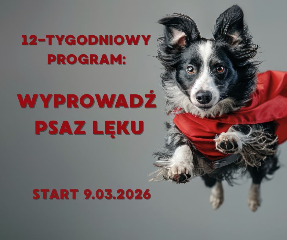 12-tygodniowy program: Wyprowadź psa z lęku. Edycja II