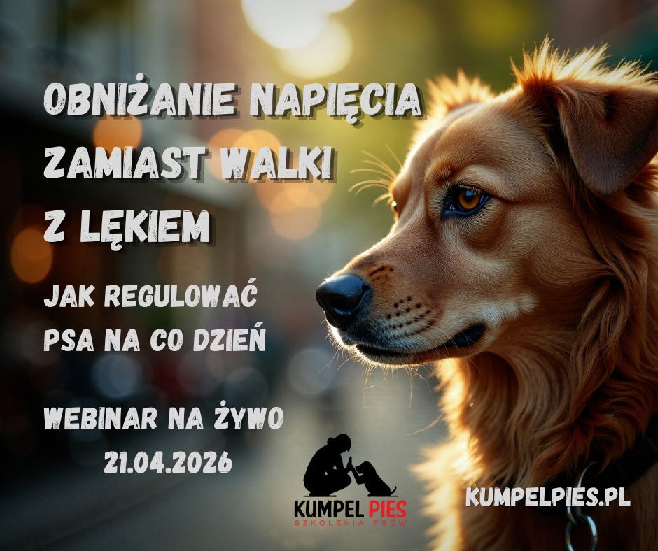 Obniżanie napięcia zamiast walki z lękiem-webinar