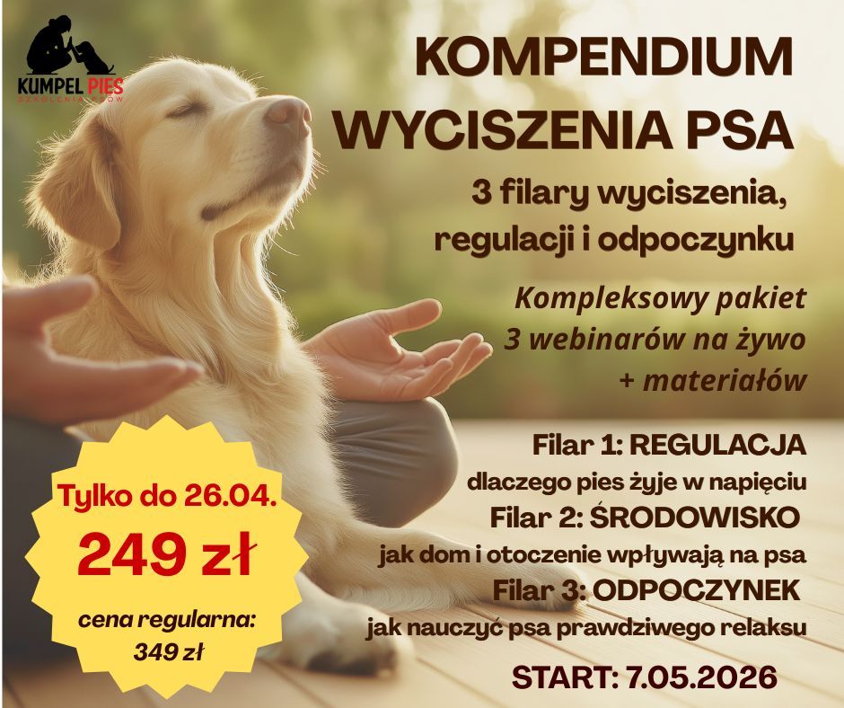 Kompendium wyciszenia psa - pakiet 3 webinarów i materiały