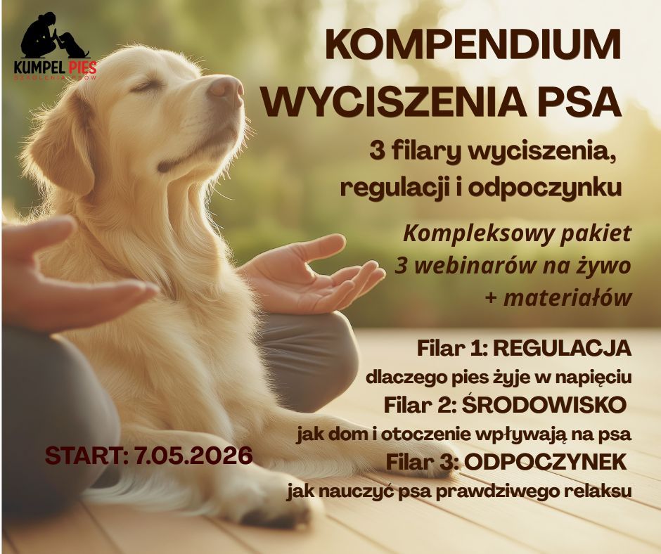 Kompendium wyciszenia psa - pakiet 3 webinarów i materiały