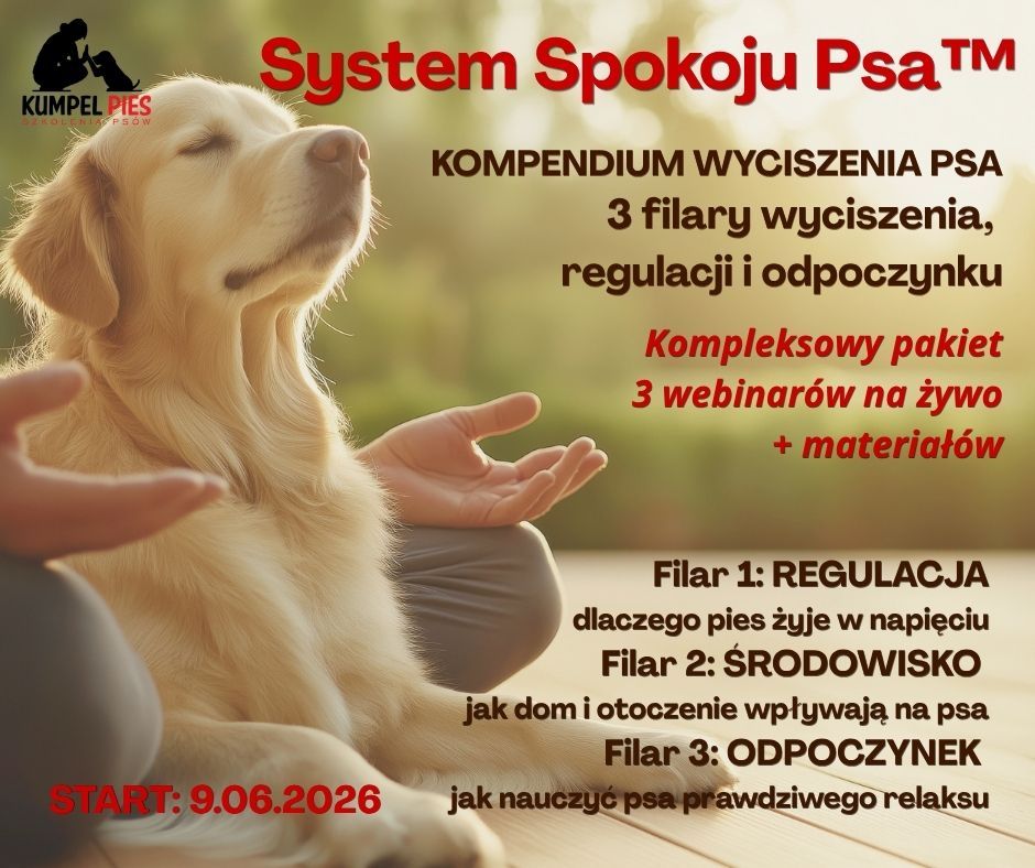 Kompendium wyciszenia psa - pakiet 3 webinarów i materiały